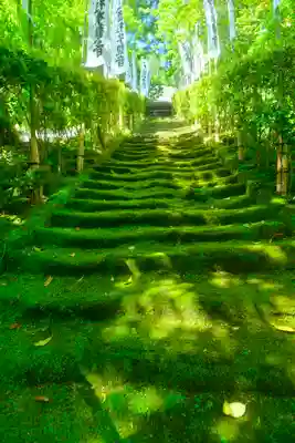 杉本寺(神奈川県)