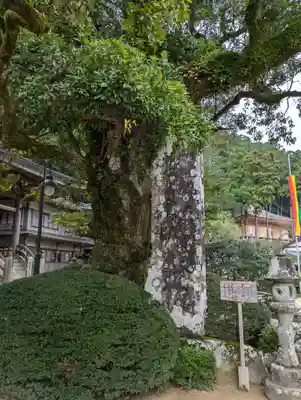 青岸渡寺(和歌山県)