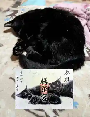 月替り黒猫御朱印 10月