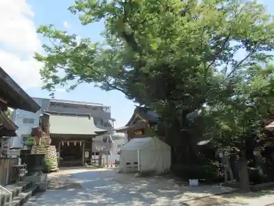 松戸神社(千葉県)
