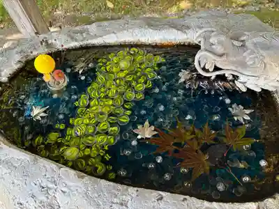 十勝護国神社の手水舎