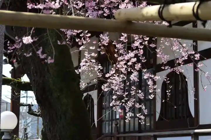 善龍寺(東京都)