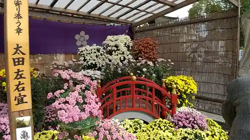亀戸天神社(東京都)