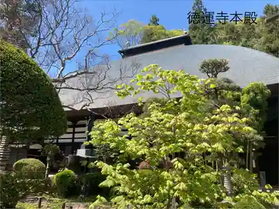 徳運寺(長野県)