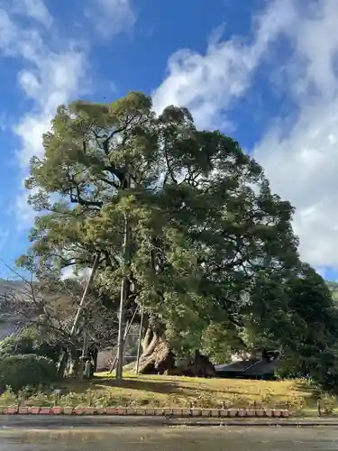 大楠神社(福岡県)