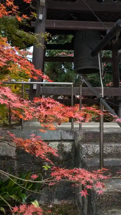 興聖寺(京都府)