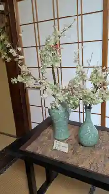 墨染寺（桜寺）(京都府)