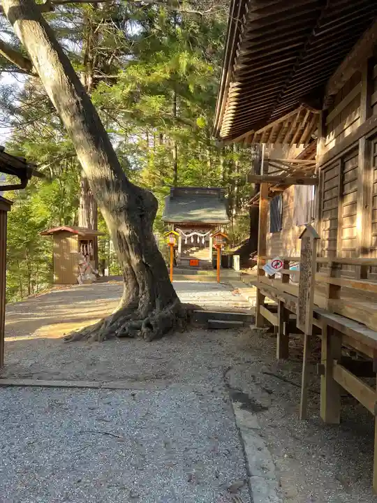 新倉富士浅間神社(山梨県)