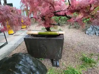 尾久八幡神社(東京都)