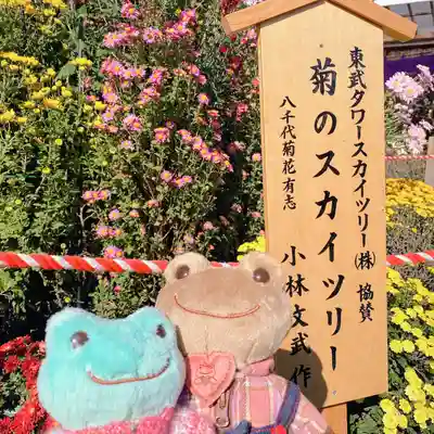 亀戸天神社(東京都)
