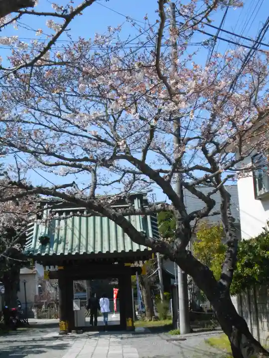 妙隆寺の山門・神門