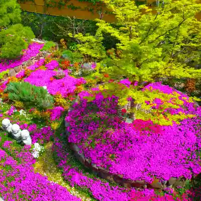 寿量山 速成寺(奈良県)