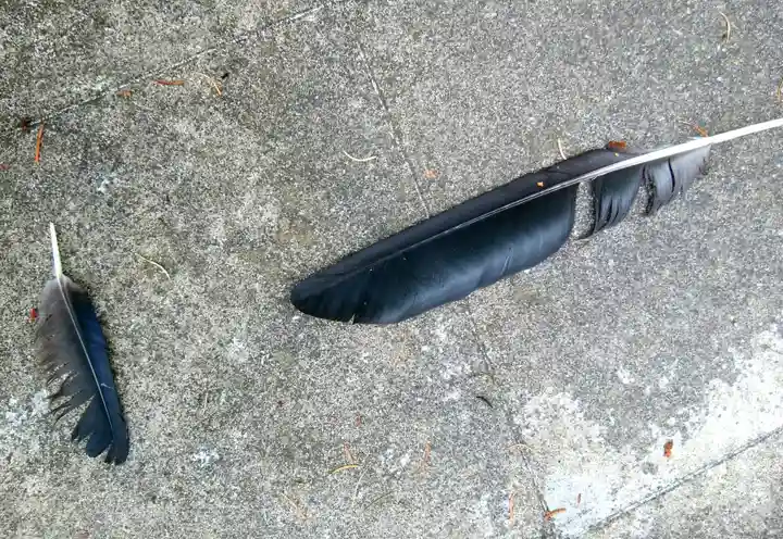 東川神社の動物