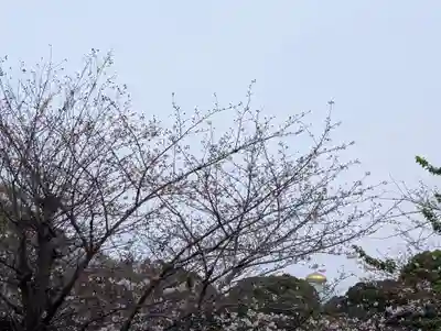 千鳥ヶ淵戦没者墓苑(東京都)