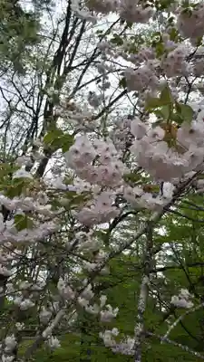 牡丹稲荷神社の自然
