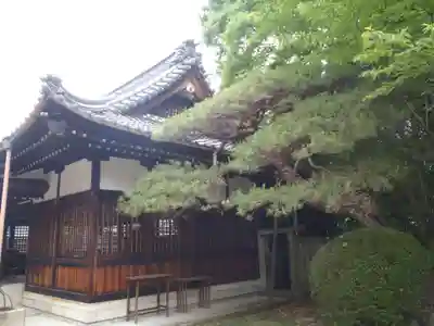 白山神社(岐阜県)
