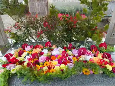 金蛇水神社の手水舎