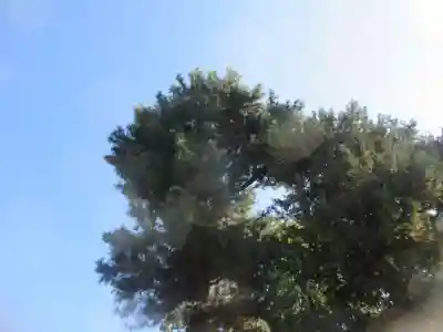 鷺宮八幡神社(東京都)