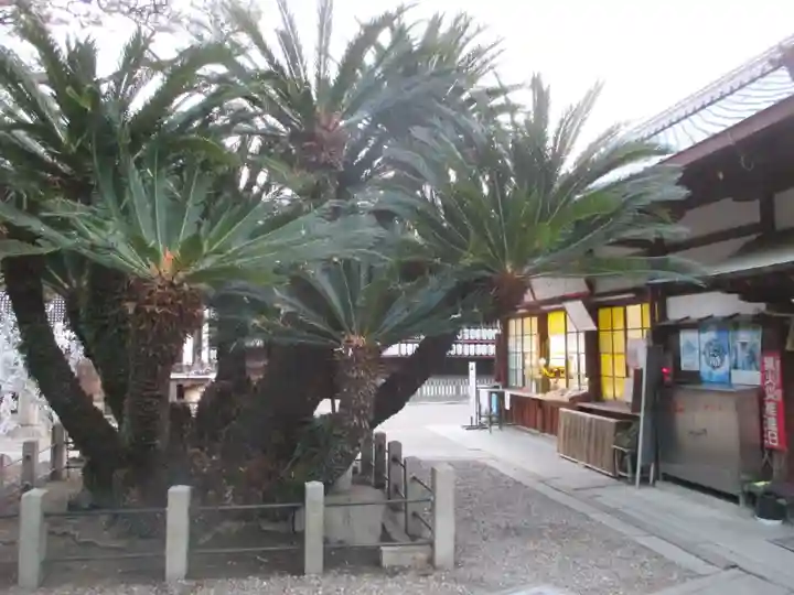 御香宮神社(京都府)