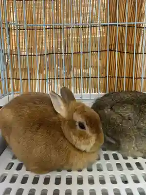 太子堂八幡神社(東京都)