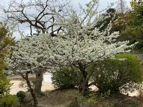 吉備津神社の自然