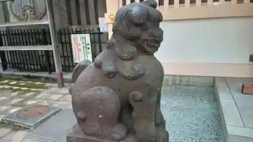 高輪神社の狛犬