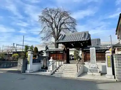 伝法寺(千葉県)