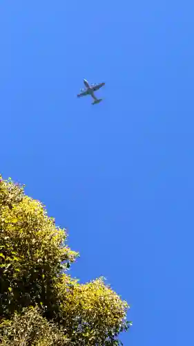 田無神社の{uncategorized: "未分類", other: "その他", undefined: "問題あり", building: "その他建物", grave: "お墓", sacred_gate: "鳥居", guardian: "狛犬", statue: "像", buddha: "仏像", history: "歴史", nature: "自然", garden: "庭園", animal: "動物", pagoda: "塔", temizu: "手水舎", mountain_gate: "山門・神門", sanctuary: "本殿・本堂", subordinate: "末社・摂社", art: "芸術", scenery: "景色", jizo: "地蔵", ema: "絵馬", goshuin: "御朱印", omikuji: "おみくじ", items: "授与品その他", amulet: "お守り", goshuincho: "御朱印帳", eats: "食事", festival: "お祭り", votive_dance: "神楽", shichigosan: "七五三参", wedding: "結婚式", experience: "体験その他", initially: "初詣", around: "周辺", anti_infection: "感染症対策"}