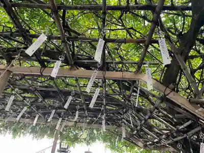 金蛇水神社(宮城県)