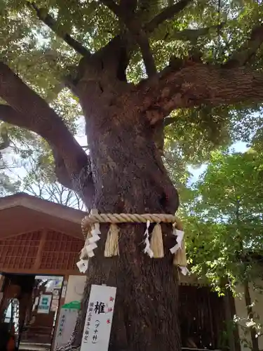 座間神社(神奈川県)