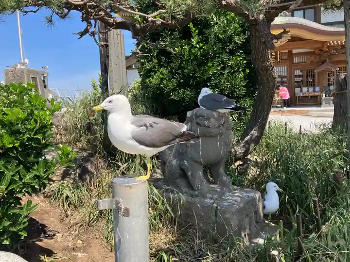 蕪嶋神社(青森県)