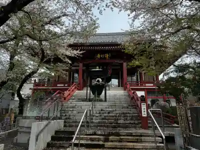 浄心寺の{uncategorized: "未分類", other: "その他", undefined: "問題あり", building: "その他建物", grave: "お墓", sacred_gate: "鳥居", guardian: "狛犬", statue: "像", buddha: "仏像", history: "歴史", nature: "自然", garden: "庭園", animal: "動物", pagoda: "塔", temizu: "手水舎", mountain_gate: "山門・神門", sanctuary: "本殿・本堂", subordinate: "末社・摂社", art: "芸術", scenery: "景色", jizo: "地蔵", ema: "絵馬", goshuin: "御朱印", omikuji: "おみくじ", items: "授与品その他", amulet: "お守り", goshuincho: "御朱印帳", eats: "食事", festival: "お祭り", votive_dance: "神楽", shichigosan: "七五三参", wedding: "結婚式", experience: "体験その他", initially: "初詣", around: "周辺", anti_infection: "感染症対策"}