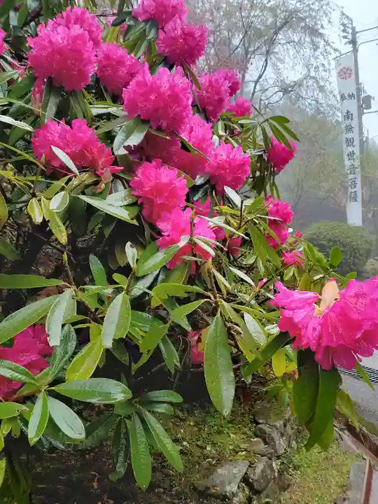 播州清水寺の自然