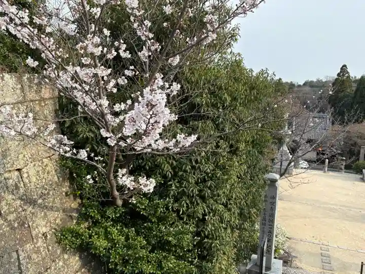 神咒寺の{uncategorized: "未分類", other: "その他", undefined: "問題あり", building: "その他建物", grave: "お墓", sacred_gate: "鳥居", guardian: "狛犬", statue: "像", buddha: "仏像", history: "歴史", nature: "自然", garden: "庭園", animal: "動物", pagoda: "塔", temizu: "手水舎", mountain_gate: "山門・神門", sanctuary: "本殿・本堂", subordinate: "末社・摂社", art: "芸術", scenery: "景色", jizo: "地蔵", ema: "絵馬", goshuin: "御朱印", omikuji: "おみくじ", items: "授与品その他", amulet: "お守り", goshuincho: "御朱印帳", eats: "食事", festival: "お祭り", votive_dance: "神楽", shichigosan: "七五三参", wedding: "結婚式", experience: "体験その他", initially: "初詣", around: "周辺", anti_infection: "感染症対策"}