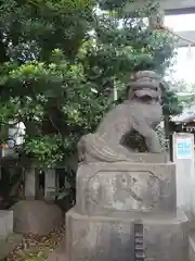 月見岡八幡神社の狛犬