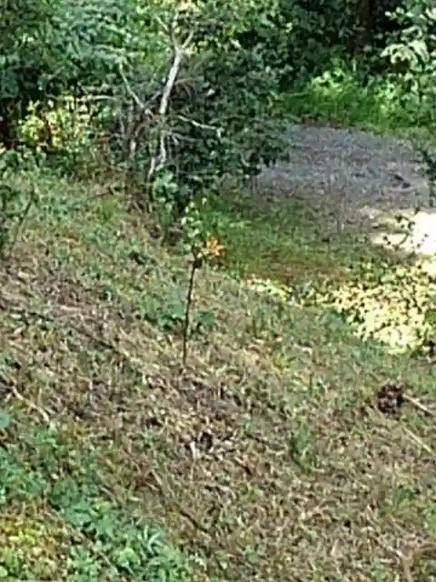 愛宕神社の周辺