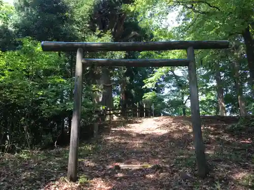 岡太神社・大瀧神社の鳥居