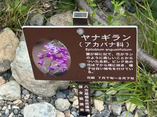 諏訪大社下社秋宮(長野県)