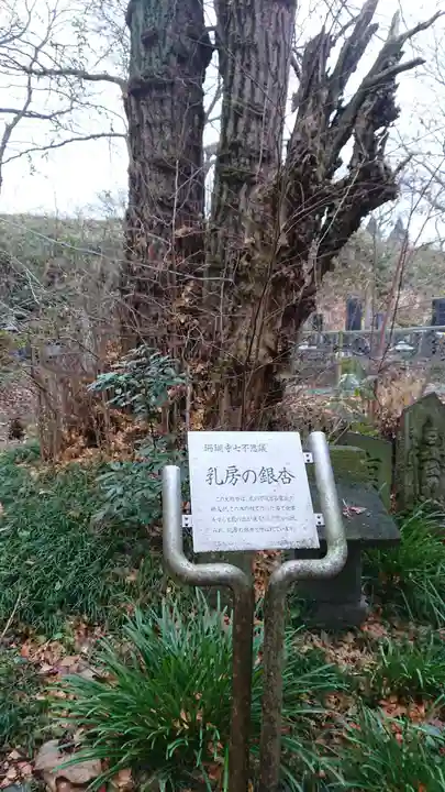 珊瑚寺のその他建物