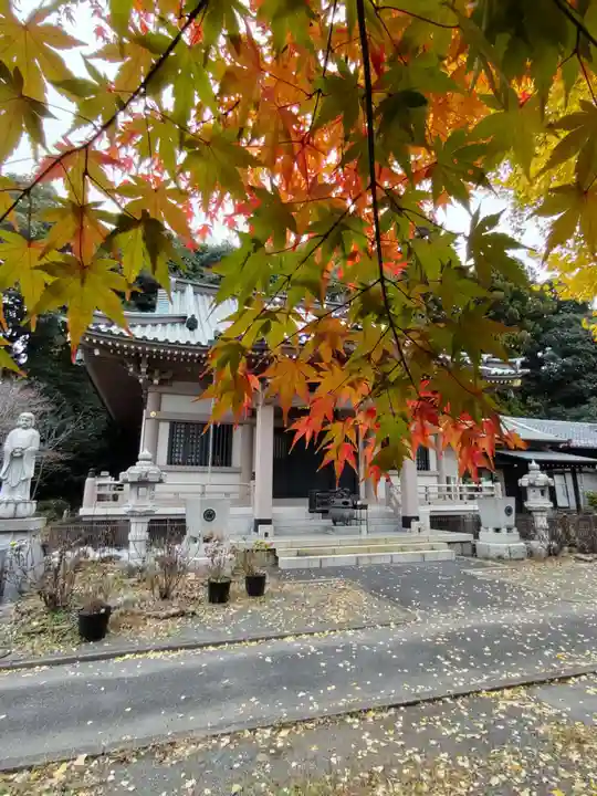 雲性寺の本殿・本堂
