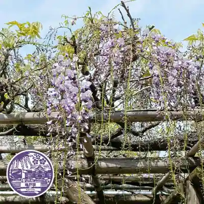 亀戸天神社(東京都)