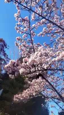 鶴見神社(神奈川県)