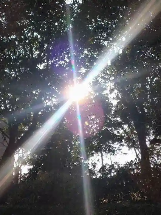 阿智神社の自然