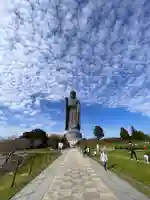 東本願寺本廟 牛久浄苑(牛久大仏)(茨城県)