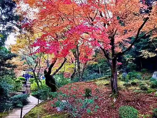 詩仙堂（丈山寺）(京都府)