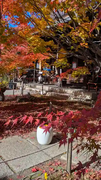 勝林寺(京都府)