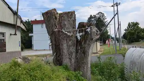 山部神社の自然