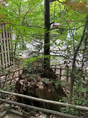 鍬渓神社の庭園