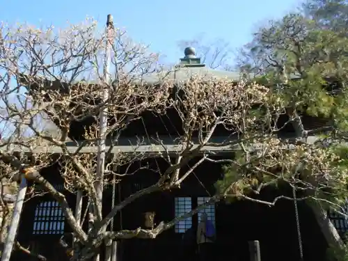 瑞泉寺の本殿・本堂