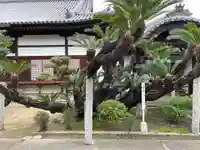 随鴎寺(兵庫県)